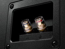 Load image into Gallery viewer, Airmotiv T-Zero Pair Floorstanding Tower Loudspeakers
